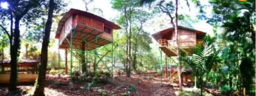 Tanshikar Spice Farm 3